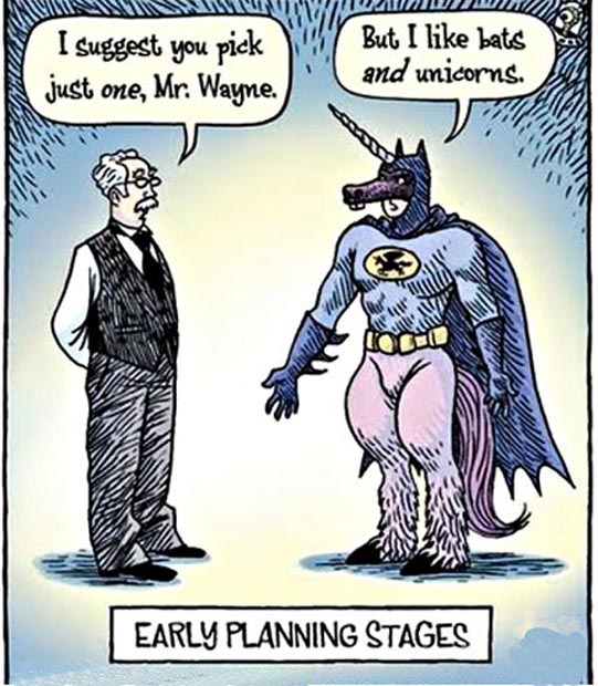 funny-Batman-costume-unicorn.jpg
