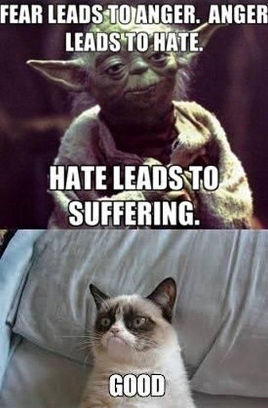 The Grumpiest Grumpy Cat Memes to Sadden Your Day  Snappy Pixels
