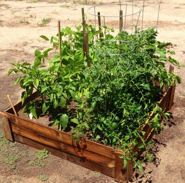 25 diy ideas using pallets for raised garden beds snappy pixels