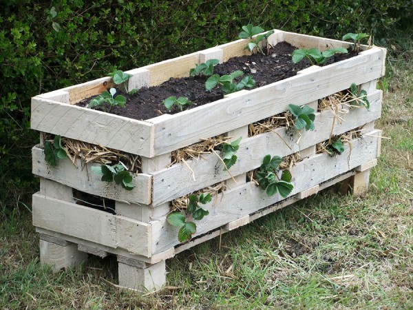25 DIY Ideas Using Pallets for Raised Garden Beds - Snappy Pixels