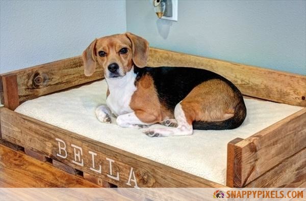 231976_pallet-dog-bed-4